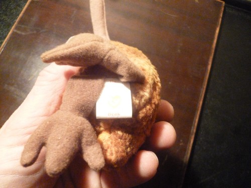 TY Beanie Baby ~ Schnabel der Kiwi Vogel ~ Etikett Fehler 1998 nicht mehr produziert - Bild 6 von 8