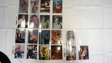 Sharon Stone glamour collection of 20 vintage 4x5 inch photos 1990's pin-ups