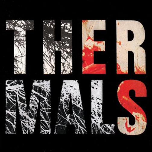 The Thermals Desperate Ground (Vinyl LP) 12" Album