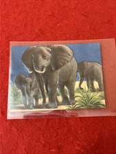1957 Granose Foods “Animal Life” AFRICAN ELEPHANT Trade Card No#  NM-MT Embossed