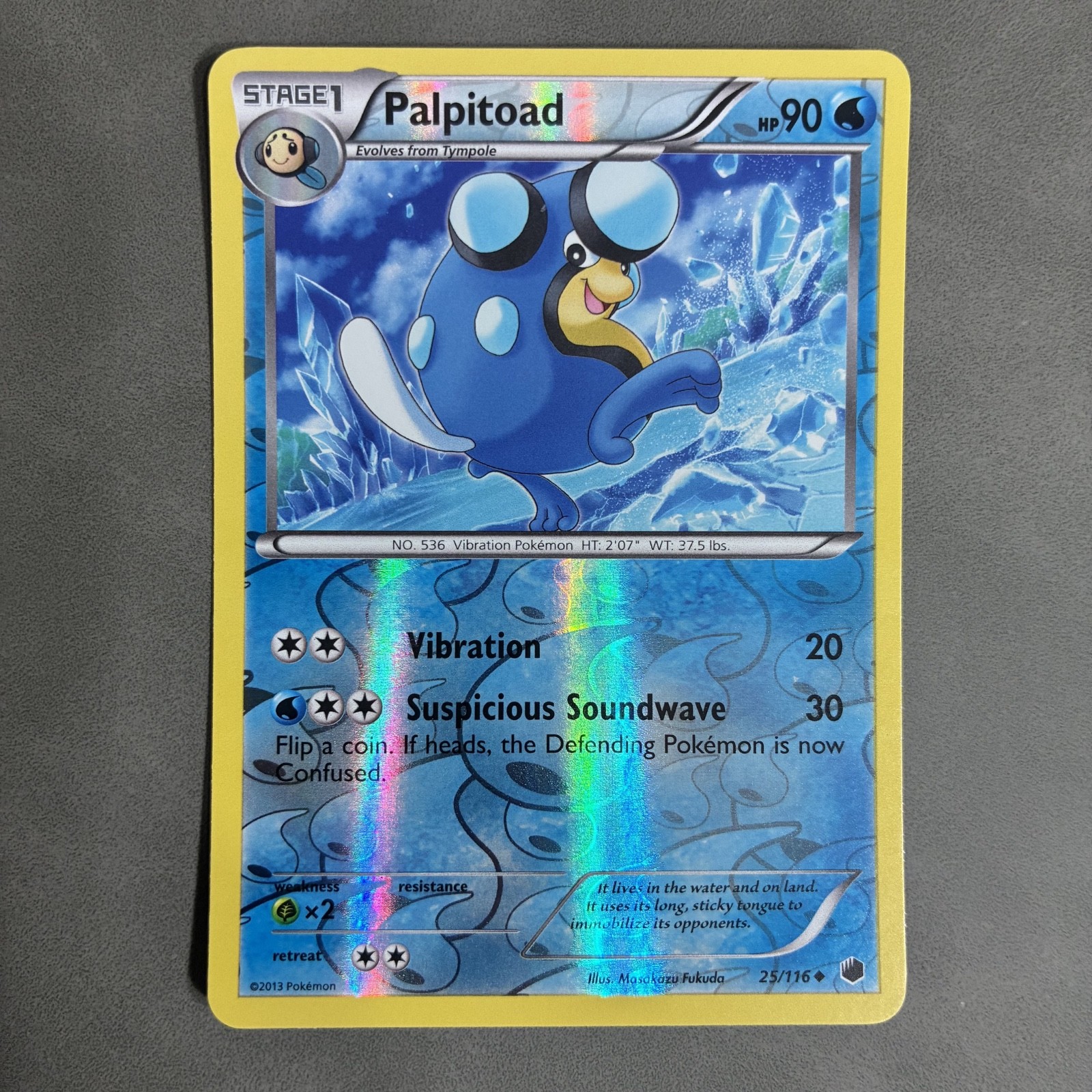 POKEMON TCG PALPITOAD 25/116 HOLO 2013