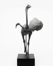 EVOLABORATORY 1:10 Ostrich Muscle Anatomy Struthio Camelus Realistic Decor Model