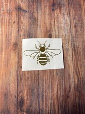 Insect Vinyl Decal