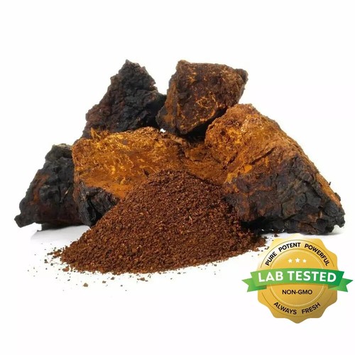 Sayan Chaga Tea Powder Canadian Dried 1 Pound - Picture 11 of 24