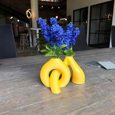 Interlocking Toroidal Vases