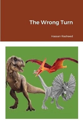 The Wrong Turn by Hassan Rasheed Paperback Book