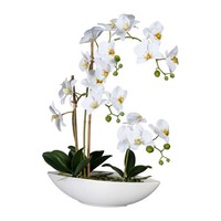 KüNstliche Orchidee, Phalaenopsis, Weiß, HöHe Ca. 60 Cm