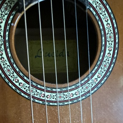 Lucida 12-String Acoustic-Electric Cutaway Guitar Brown