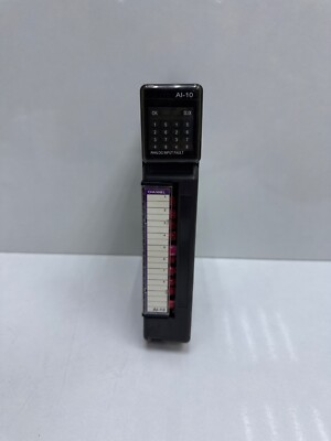 FOXBORO SCD2200-RTU / AI-10 I/O Modul P0924AS / REV : 2.2.A