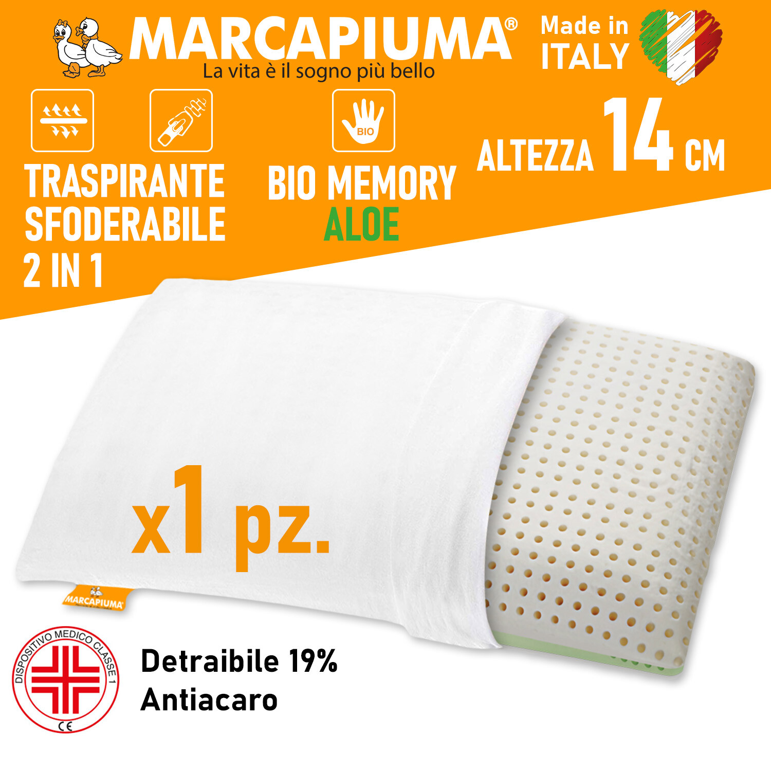 Imagen 9 de 9