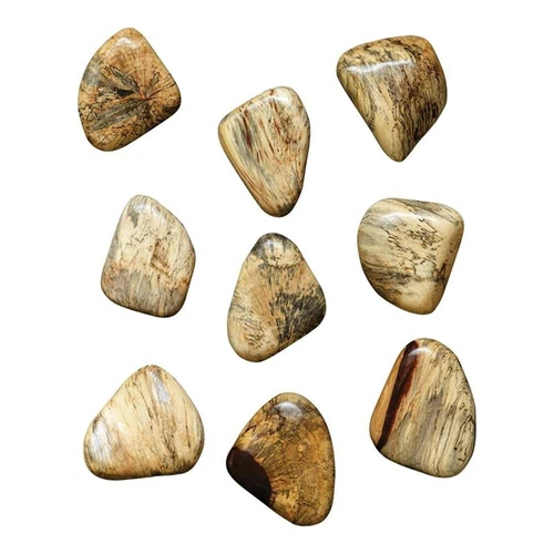 Uttermost Pebbles Contemporary Wood Wall Decor in Natural (Set of 9) - Picture 1 of 6