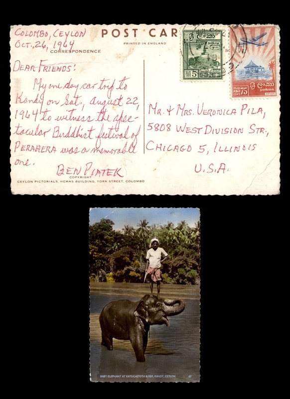 Mayfairstamps Ceylon 1964 Colombo baby elephant to Chicago IL USA Post Card aaz_