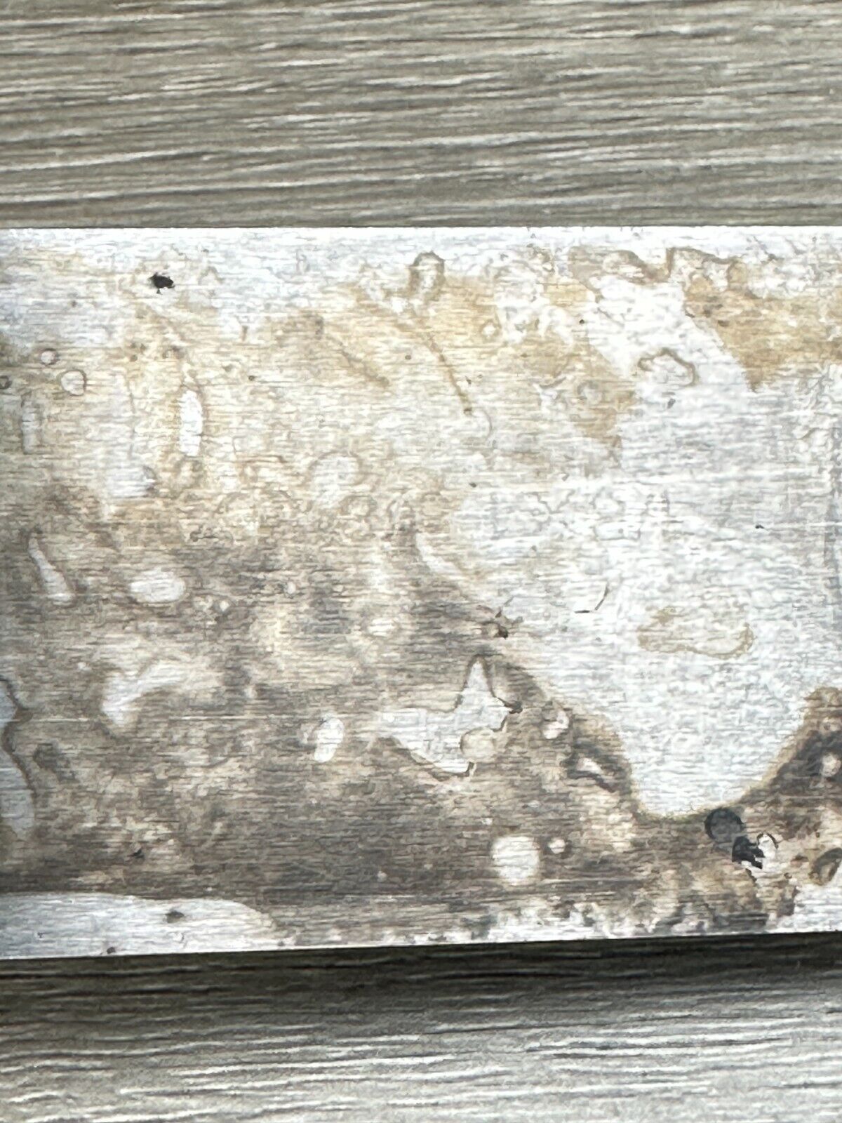 Picture 12 of 17