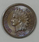 1899  Indian Head/Oak Wreath rev Cent Nice BROWN UNC 1c