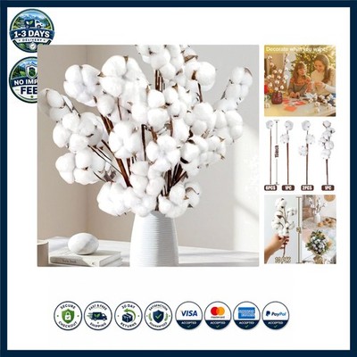 Elegant Dried Cotton Stems - 10 Pack of 15  Classy Decor for Any Occasion