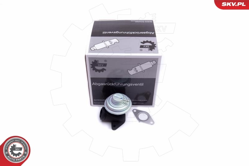 Fits SKV GERMANY 14SKV205 EGR VALVE 14SKV205 CITROEN C8 EVASION JUMPY FIAT SCUD