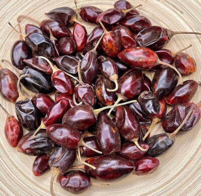Cascabel Catarino Chilis ganze getrocknete  Chili mit geringer Schärfe 50 g.
