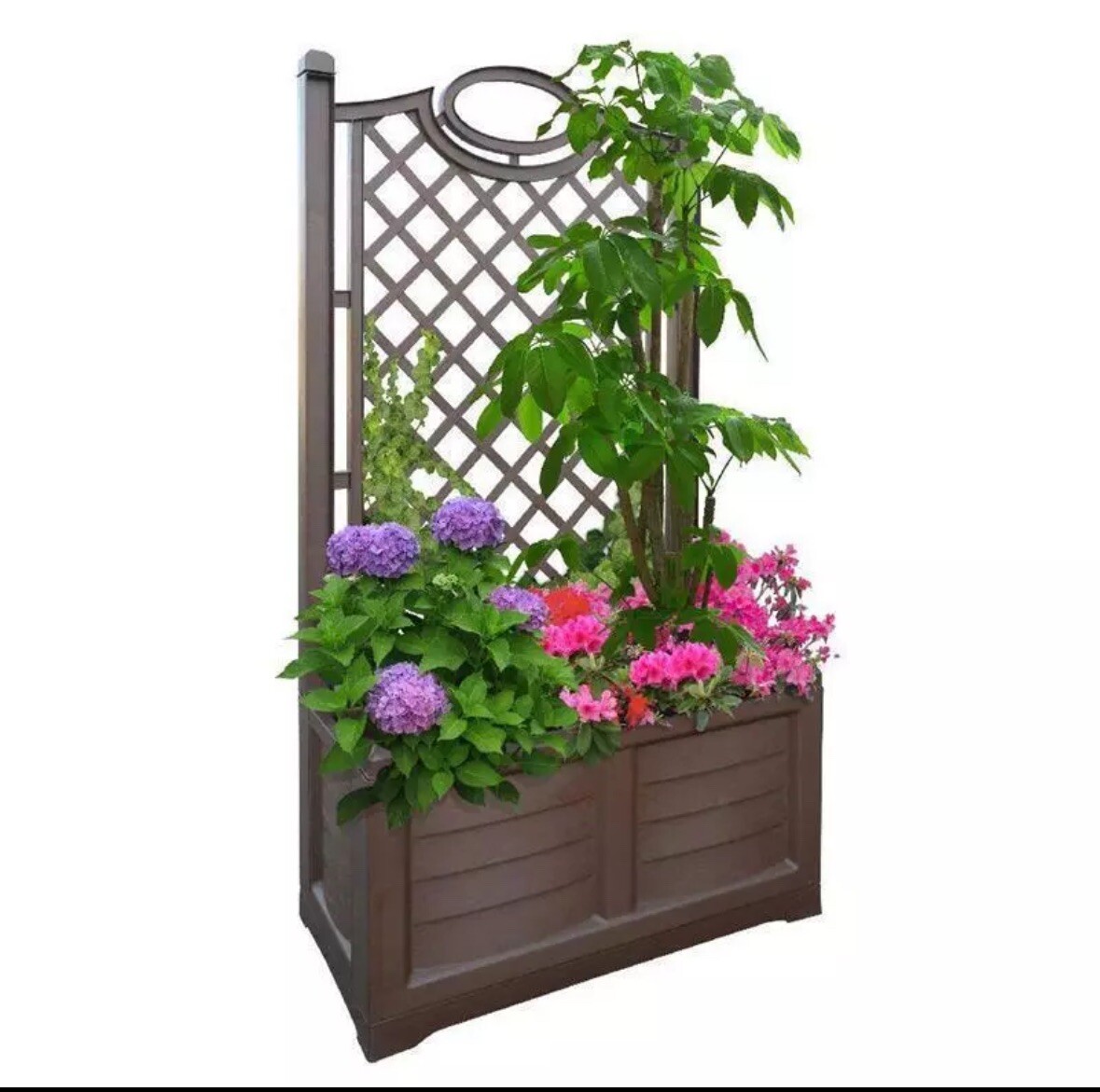 BAMA FIORIERE FIORIERA SEPARÈ SPALLIERA 80X42X15OH  120L  COLOR CACAO