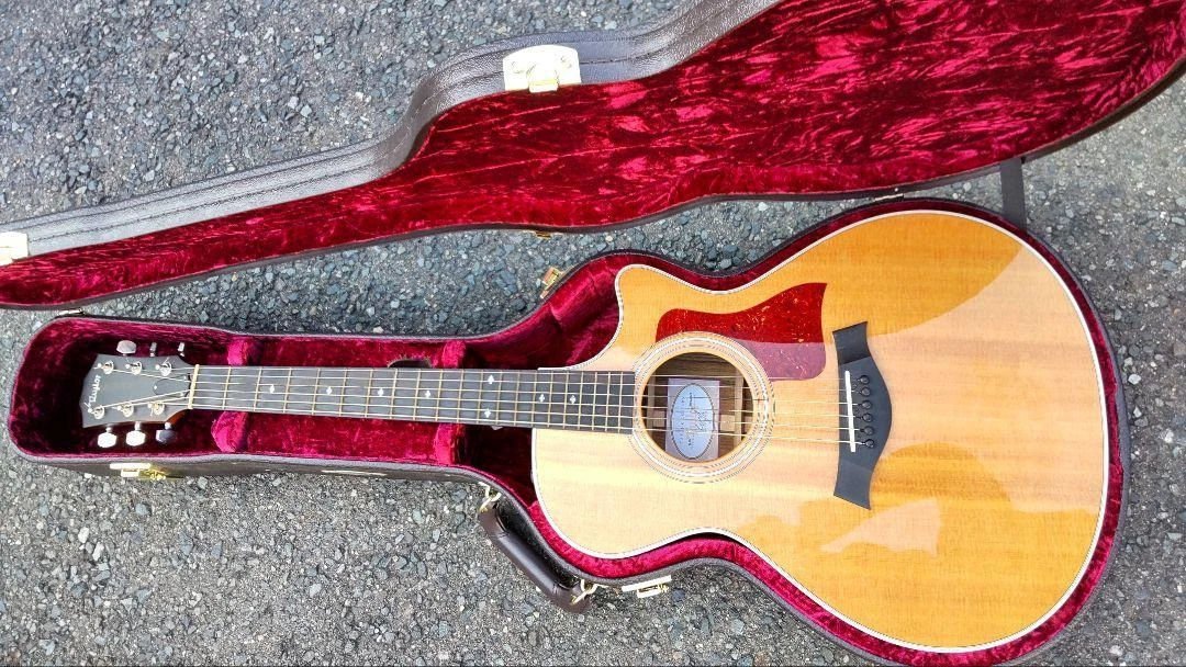 Ebay electric on sale acoustic guitar