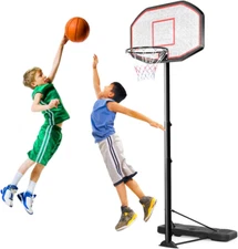 Portable Basketball Hoop 10 Ft, Adjustable Height 6.5-10 Ft, 43 Inch Backboard B