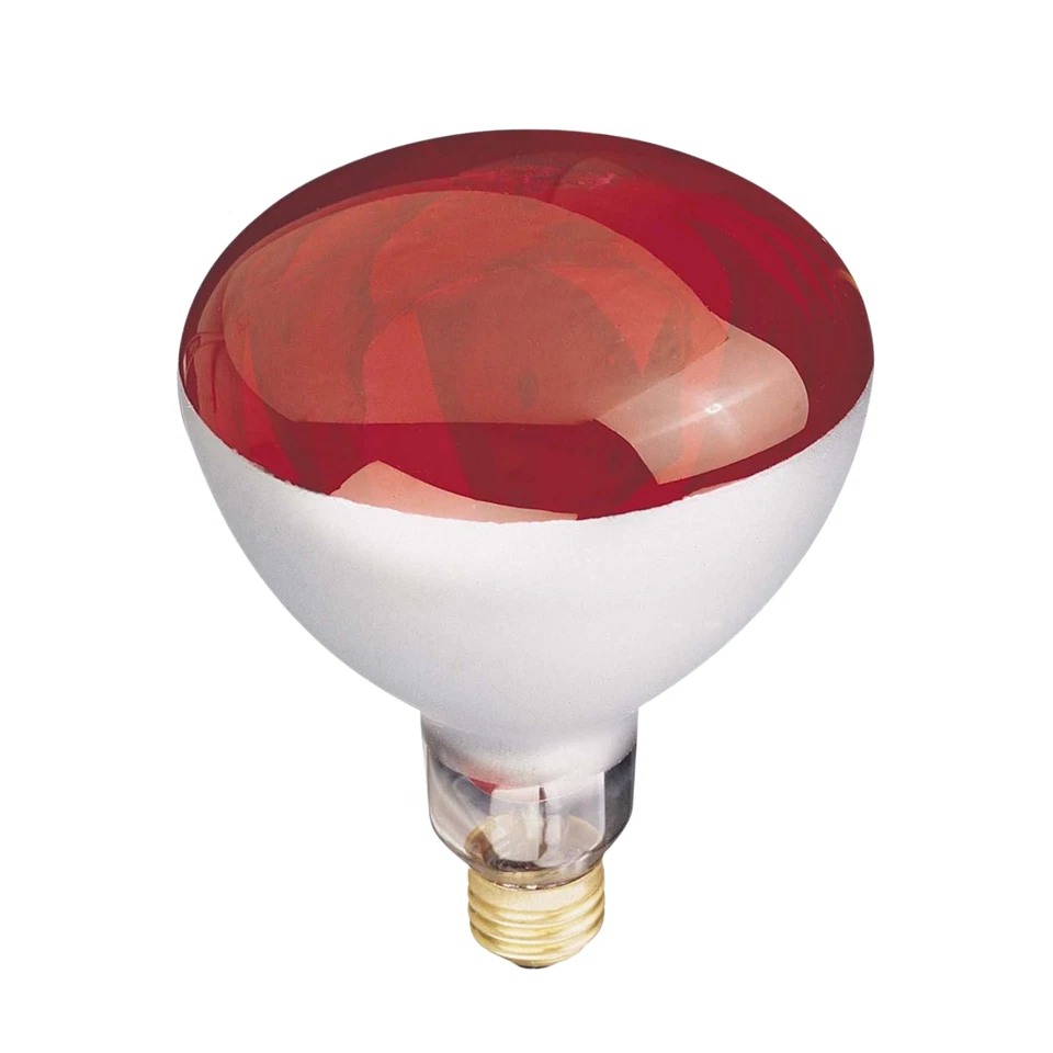 Globe Electric 03917 250W R40 Red Heat Lamp Light Bulb E26 Base - Image 4 of 4