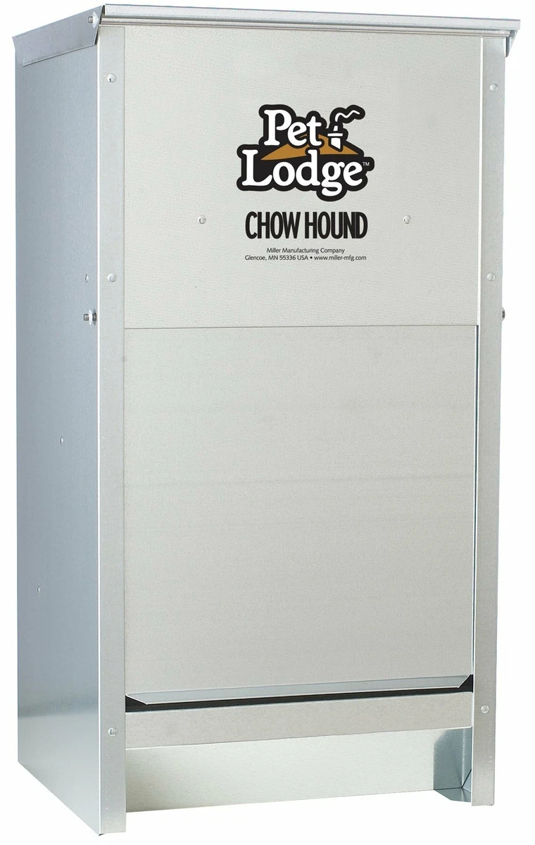 Auto dog feeder clearance outdoor