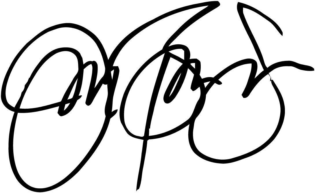 Jon Bon Jovi autograph VINYL DECAL paul epiphone gibson guitar