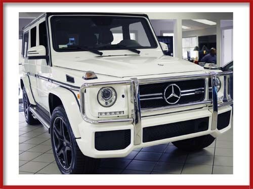 G63 Grille White W463 G-Wagon Bars G55 G550 Star G500 Brabus Parts
