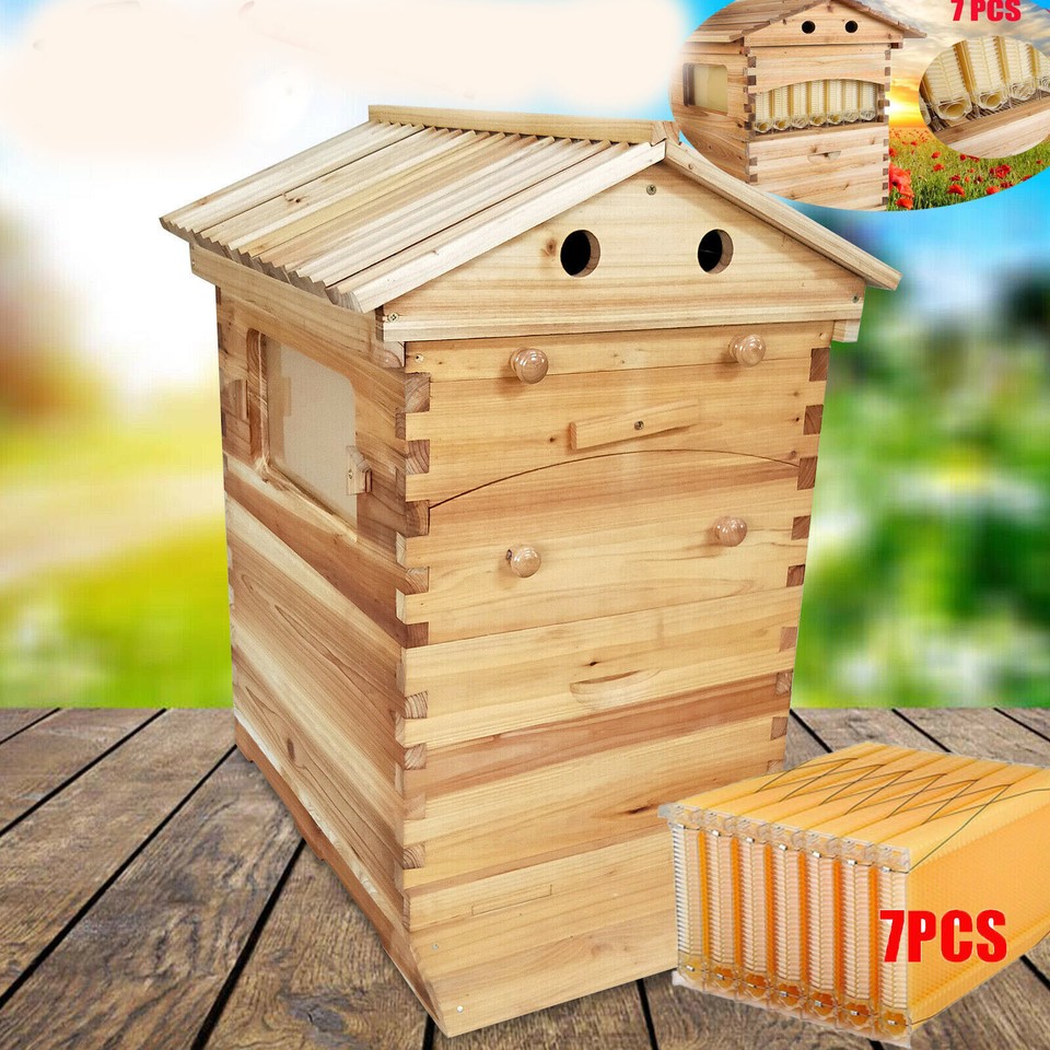 Upgrade 7X Auto Honey Hive Beehive Frames + Beekeeping Brood 2 Layer ...