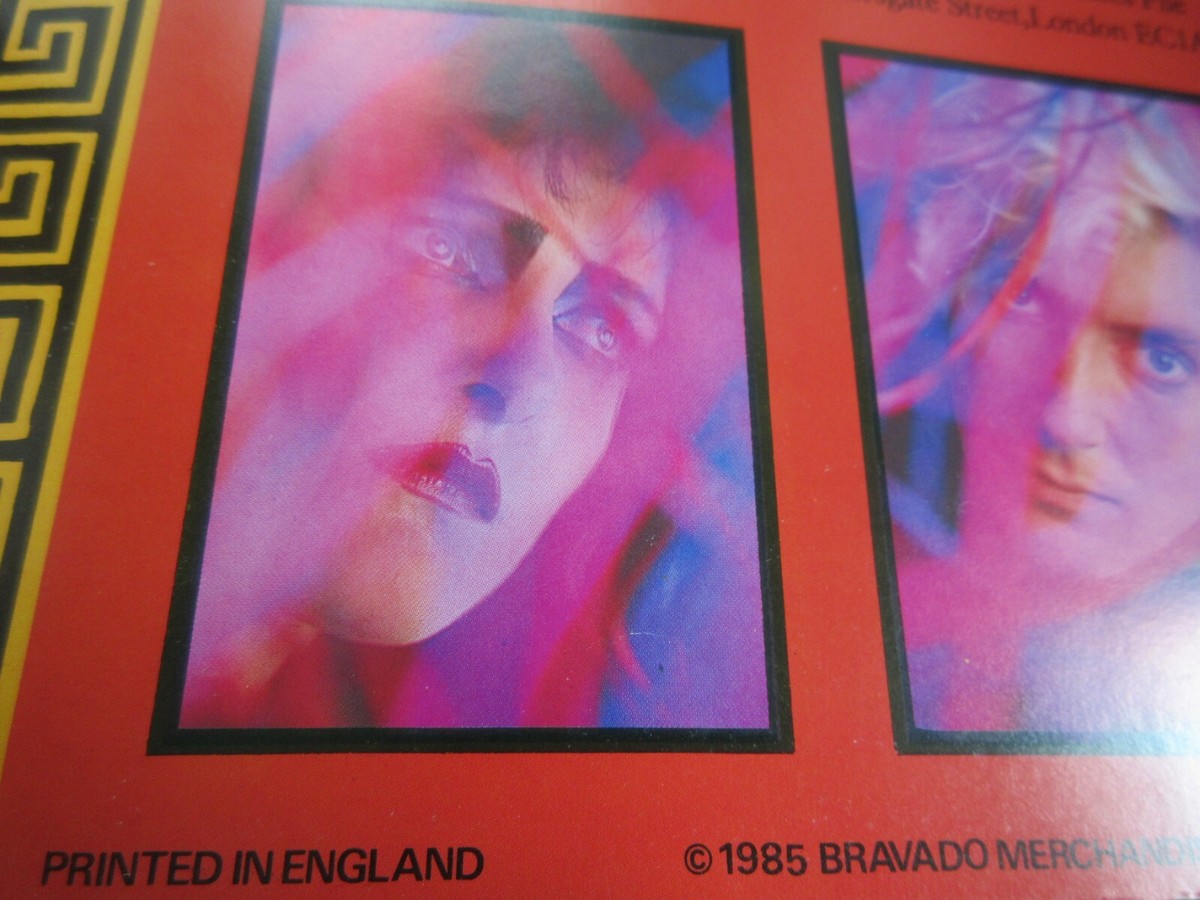 Siouxsie and The Banshees 1985 UK Tour Book Concert Program Goth