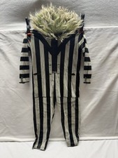 Beetlejuice Costume - Kids Halloween, Sizes Unmarked, Includes Wig and JumpSuit