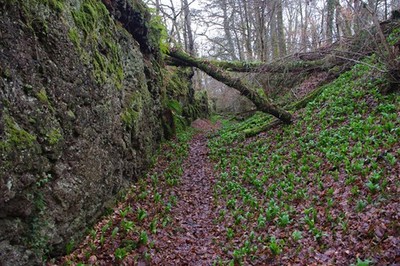 Foto 6x4 unbenutzt Lade, Cargill's Leap Blairgowrie Dieser Schnitt ist parallel c2017