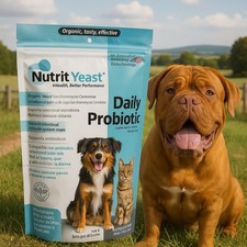 All Natural Daily Probiotics For Dogs And Cats Nutrit Yeast 6.34 Oz 180 g 