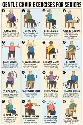 Gentle Chair Exercises for Seniors Fitness Guide Poster