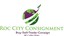 roccityconsignments_collectibles