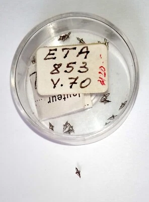 LONGINES Nos [ 1X = 1 Staff ] for Eta 853 V 70 eje de volante balance staff asse