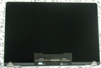 16'' Display original Bildschirm Apple Macbook pro A2141 grey grau 2019 MVVJ2D/A