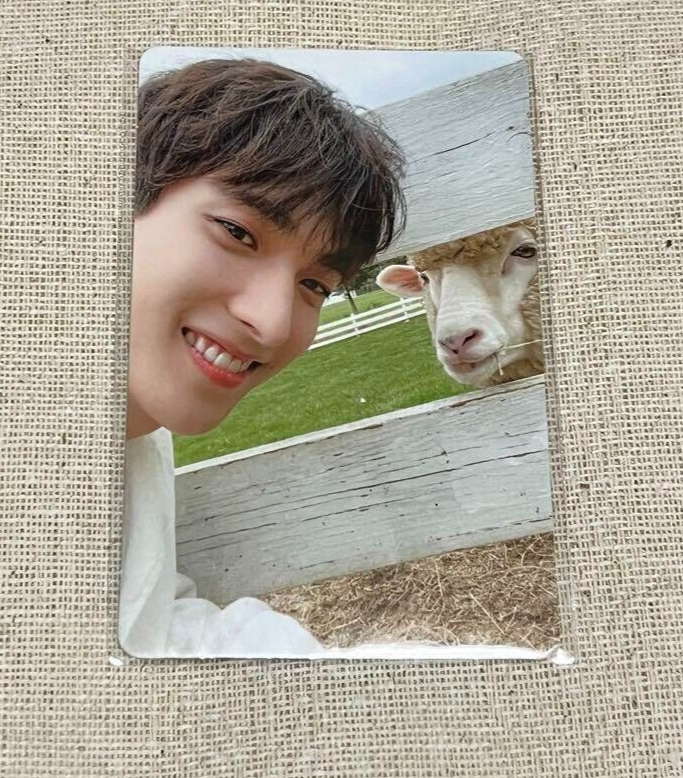 SEVENTEEN - seventeen social club DK ドギョム　トレカ　羊 SEVENTEEN PhotoCard DK Dogyeom Social Club Carat PHOTOBOOK