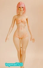 UANDD UD 1:6 Small Bust Plump Leg 12" Female Seamless Action Figure Body Model