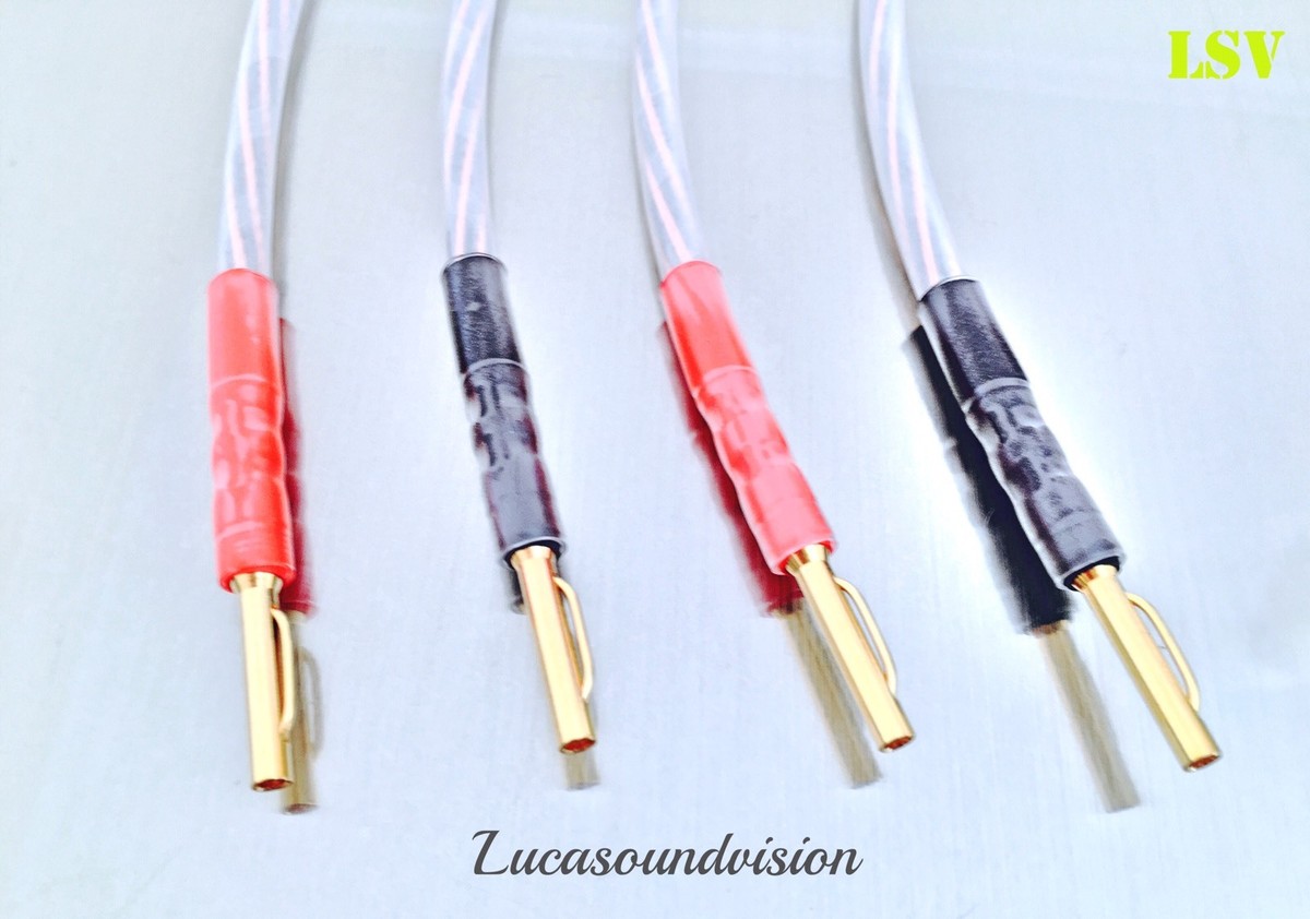 QED Ruby Anniversary Evolution 2本セット