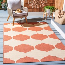Safavieh Indoor / Outdoor Beige / Terracotta Area Rugs - CY6162-231