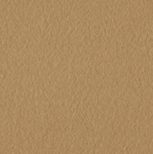 CAMEL Solid Polar Fleece Fabric Sold By The Yard 60" Wide Blankets