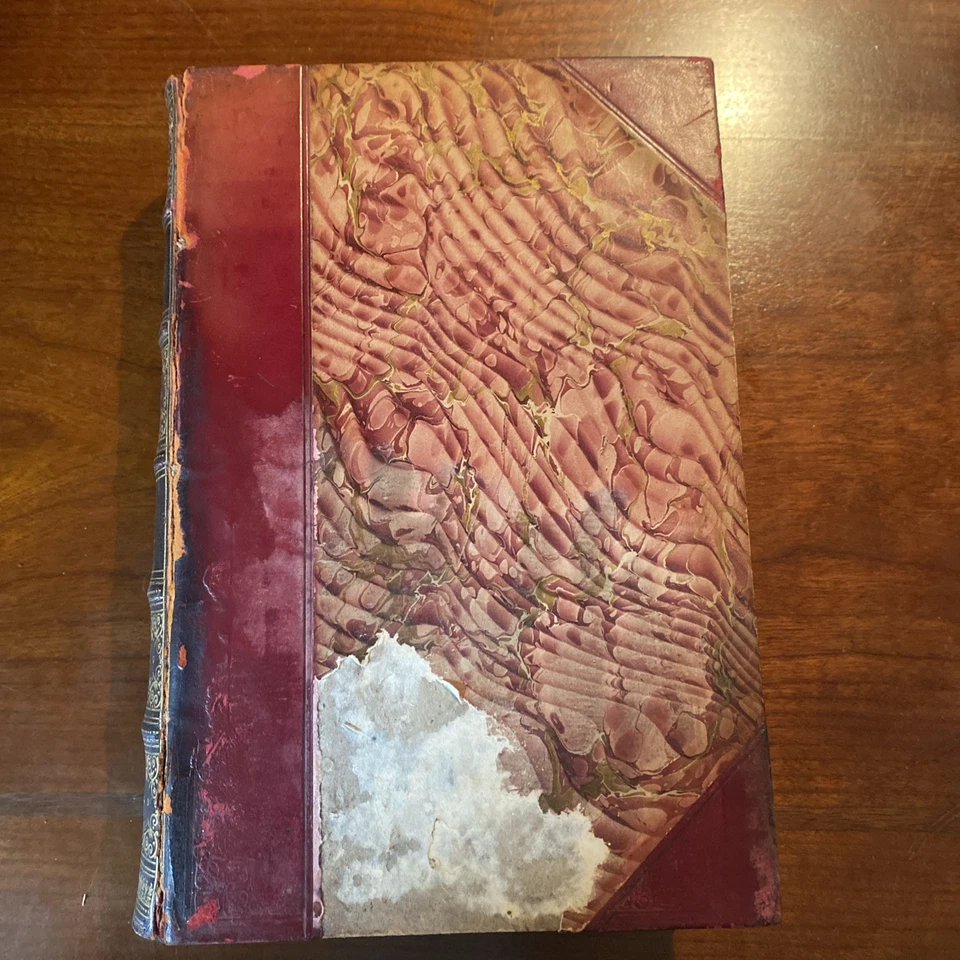 The Life Of Charles Dickens, Forster Volume 3 Only Circa 1874 Victorian Binding - Image 2 of 4