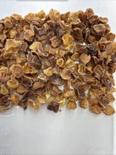 Wild-caught scallop Pieces Crunchy Dog treats 1 oz