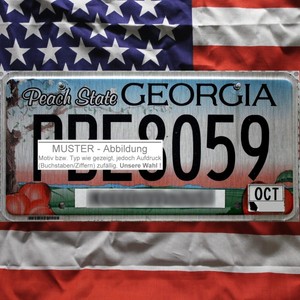 Ein Georgia Nummernschild Us Kennzeichen Peach State Optional Usa Deko Tuch Ebay