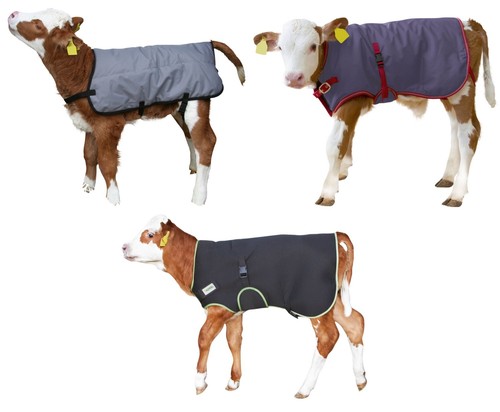 Agrarzone Kälberdecke 70cm - Robuste Thermodecke Gegen Kältestress