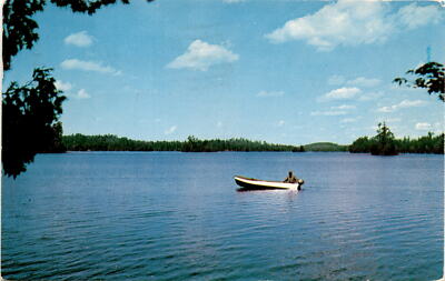 Milaca, Minneapolis, Lyles, Carls, Werner Hener, Lincoln, Nehr Postcard