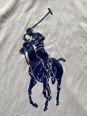 Polo Ralph Lauren Perfomance Boys Size L 14-16 long sleeve tee 