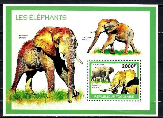 Togo 2010 Eléphants Yvert bloc n° 380 neuf ** 1er choix MNH - Photo 1/1