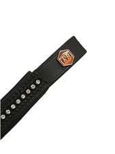 🌟Albion Crystal Browband - Black - Full Size BNWOT